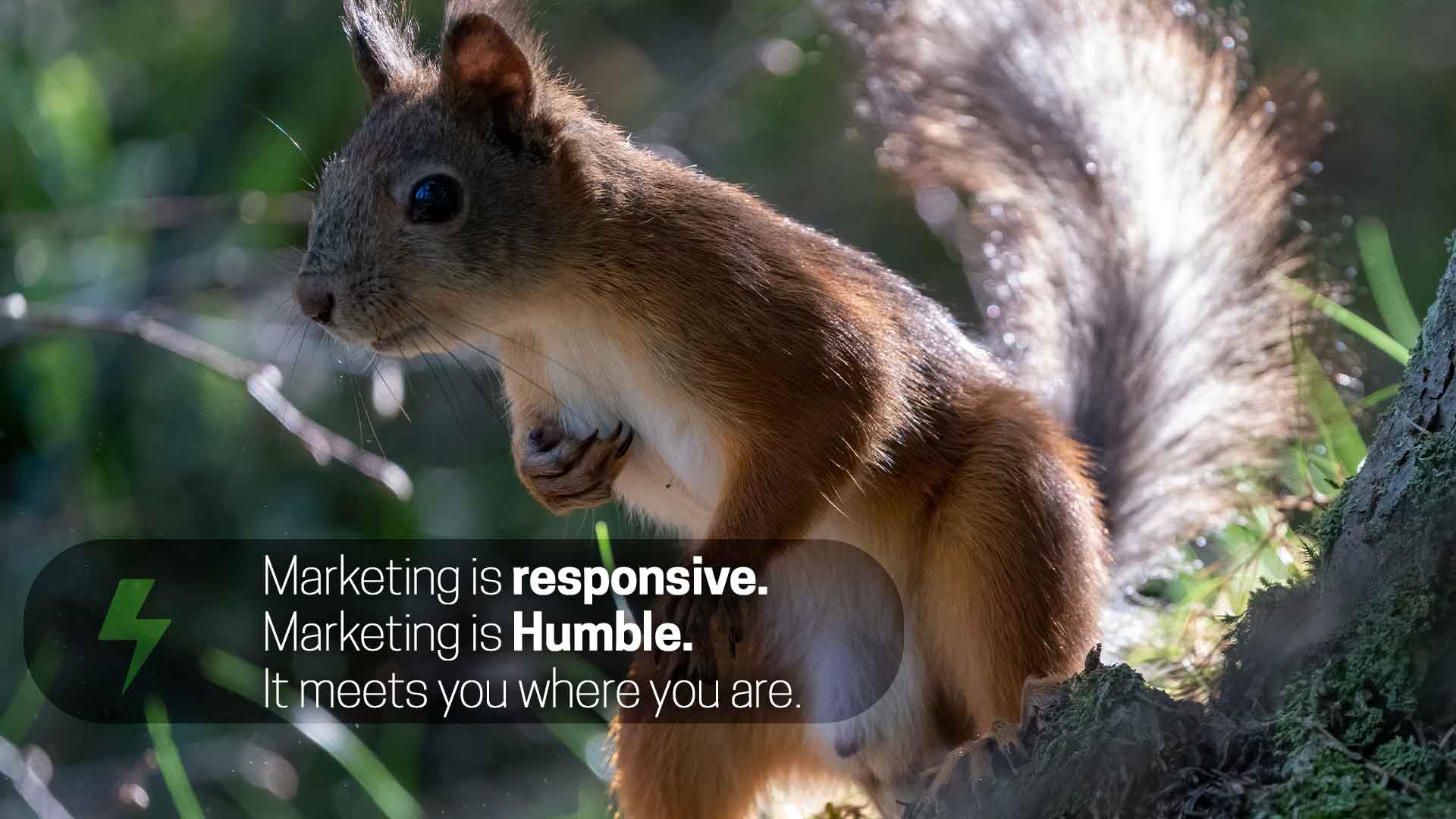 wakilisha-creative-enterprise-marketing-is-responsive.-Marketing-is-humble